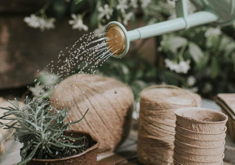 Gieters voor binnen en buiten - Tuinkabouter Chrisje