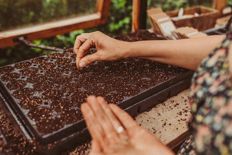 Zaai- en kweekbenodigdheden | Tuinkabouter Chrisje