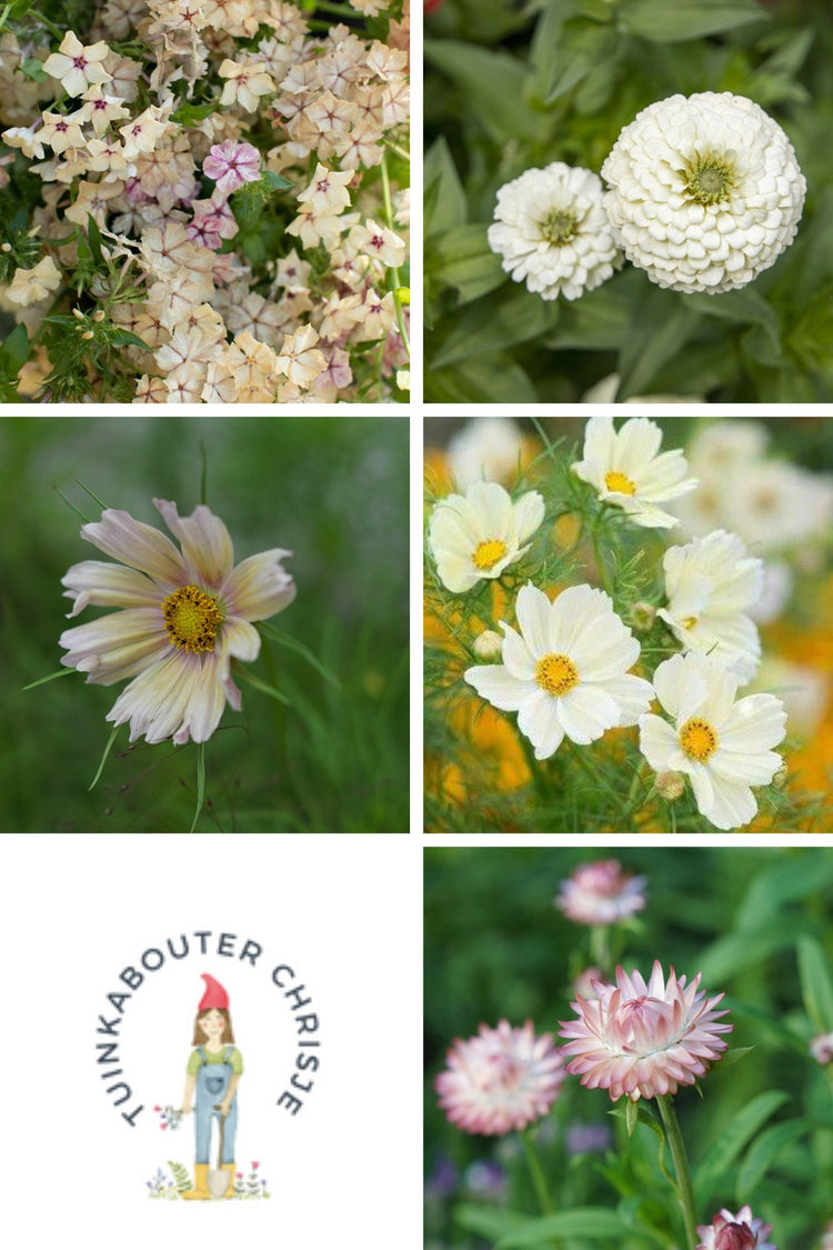 Zadenpakketten - Tuinkabouter Chrisje