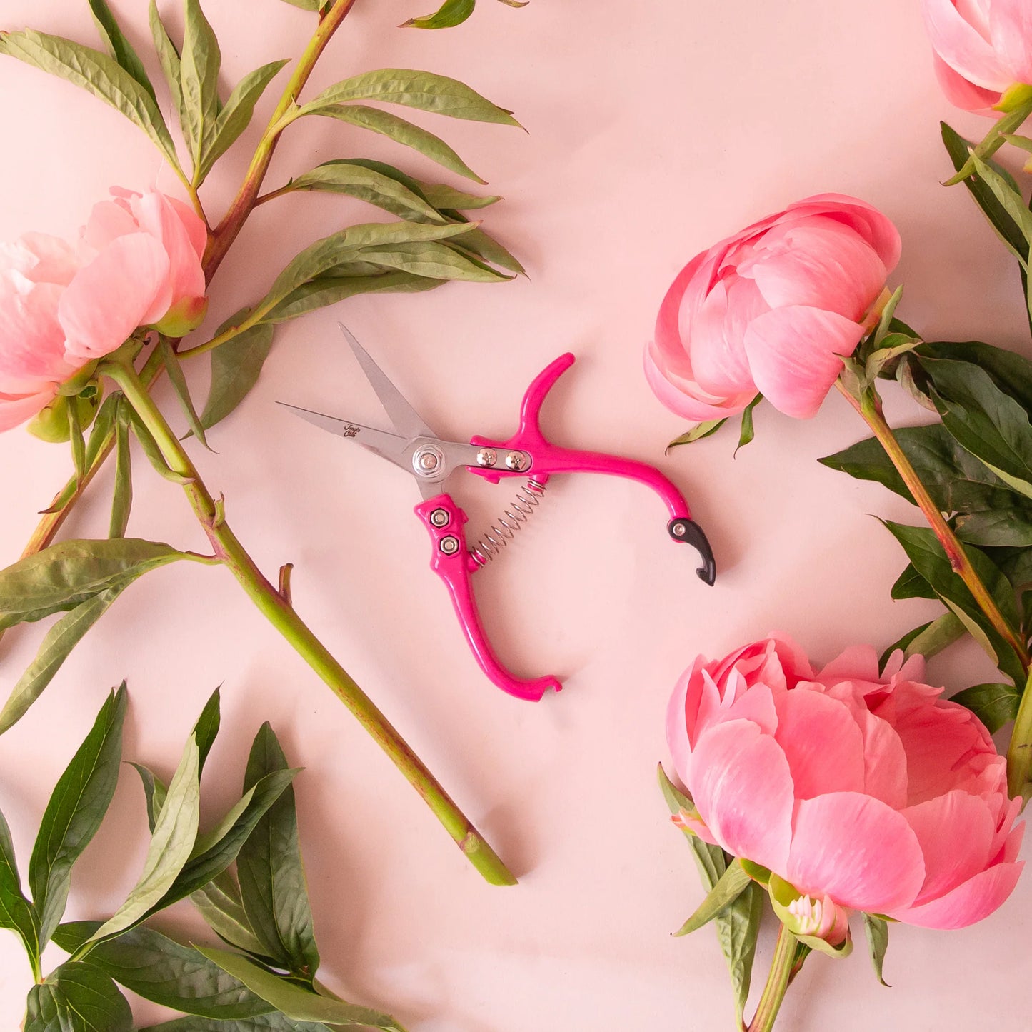 Ciseaux de fleuriste