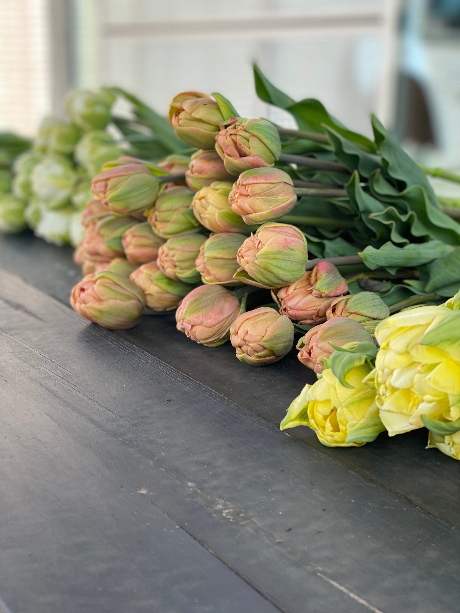 Boeket tulpen - Tuinkabouter Chrisje