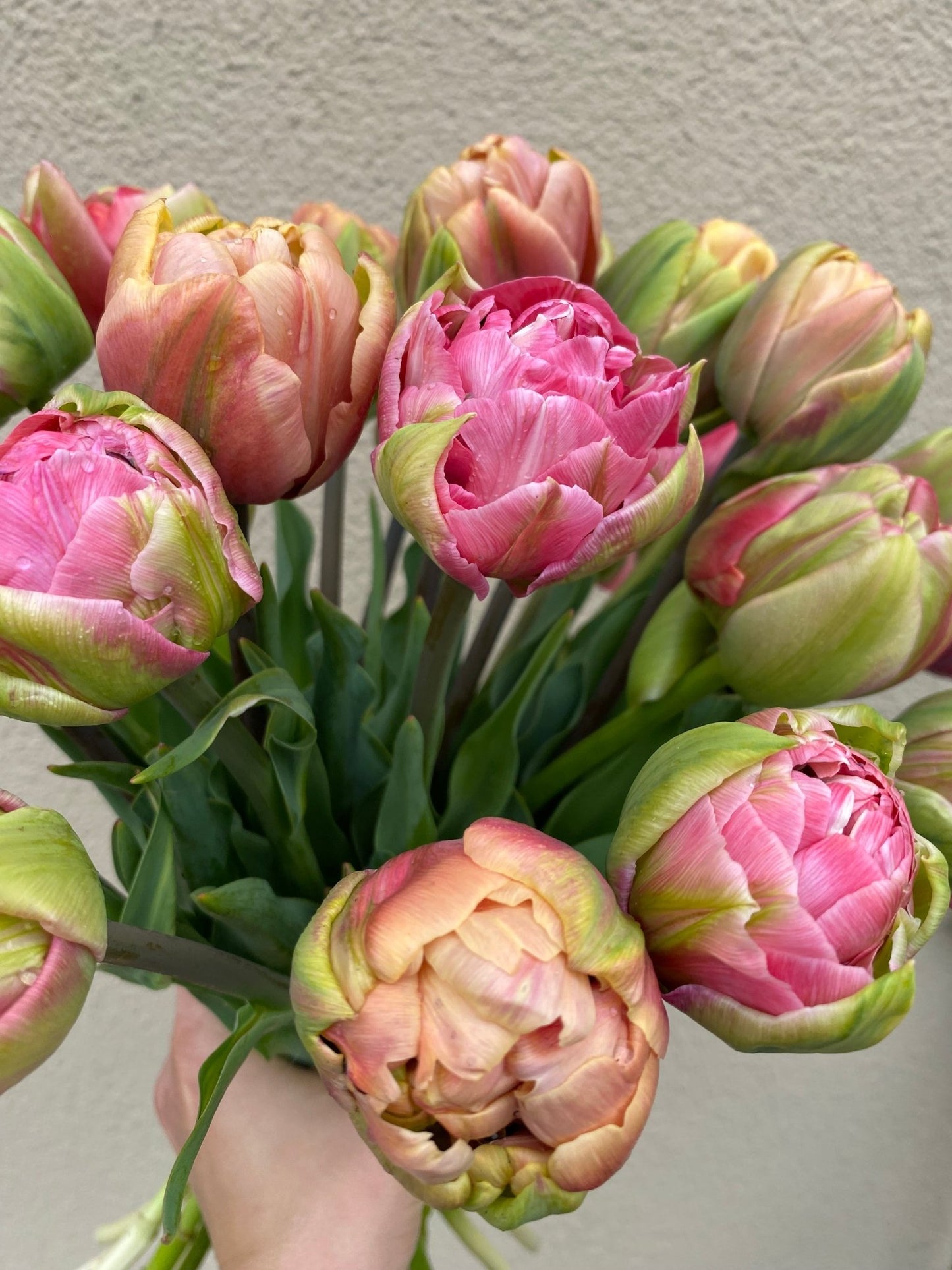 Boeket tulpen - Tuinkabouter Chrisje