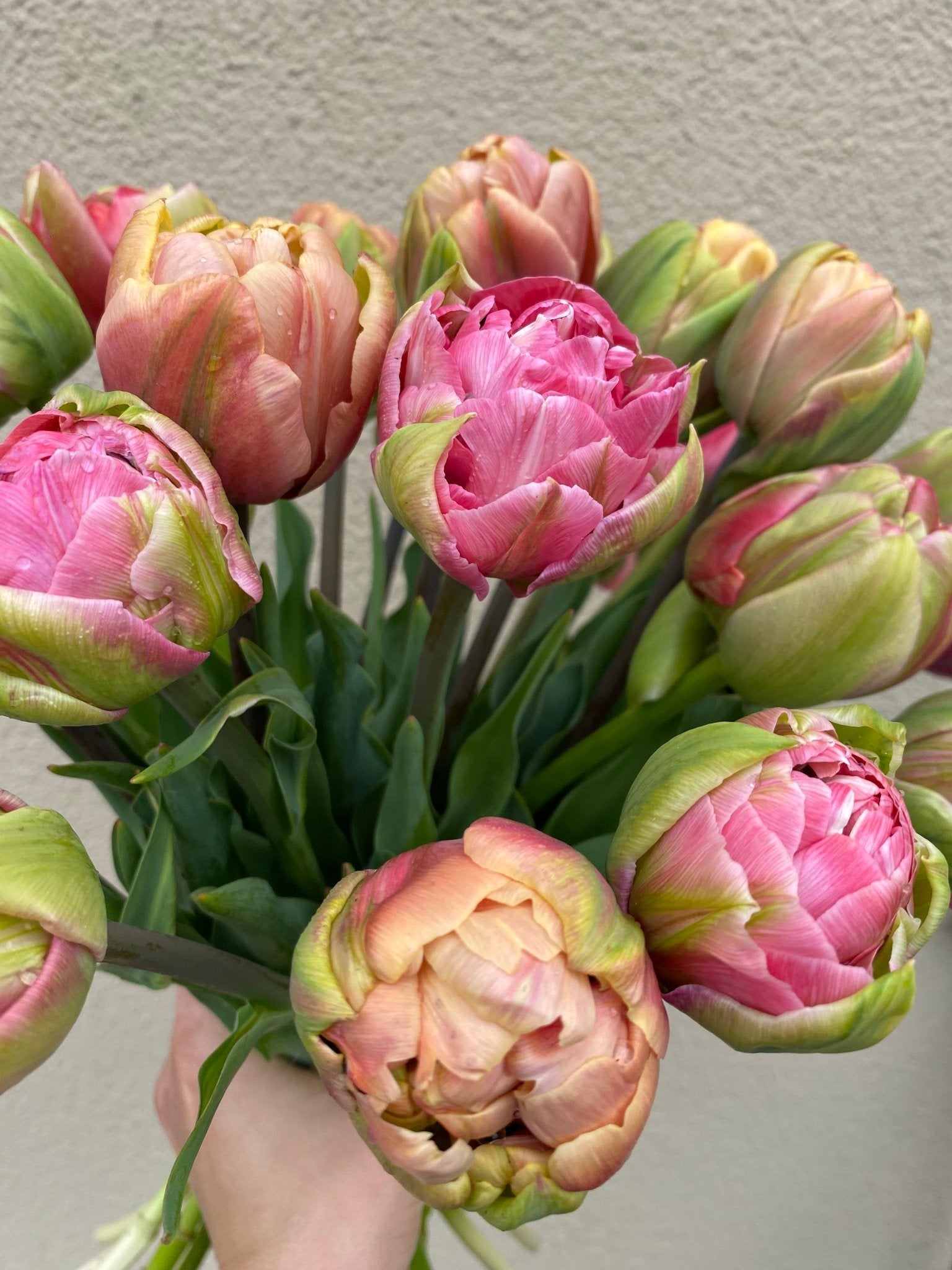 Boeket tulpen - Tuinkabouter Chrisje