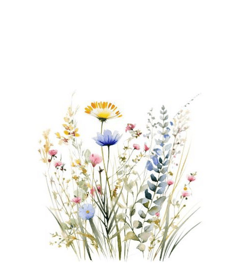 Duurzame kaarten van Mookstories - Tuinkabouter Chrisje