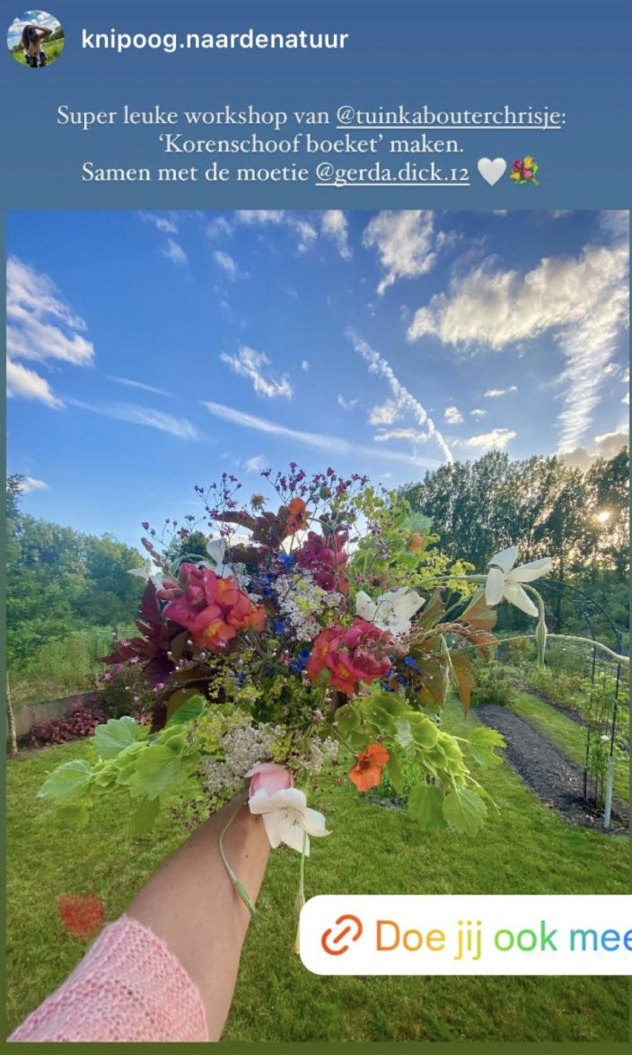 Workshop: "Boeket oogsten en leren schikken" - Tuinkabouter Chrisje
