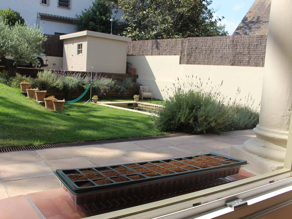 Zaaitray vensterbank 36 cellen met deksel - Tuinkabouter Chrisje