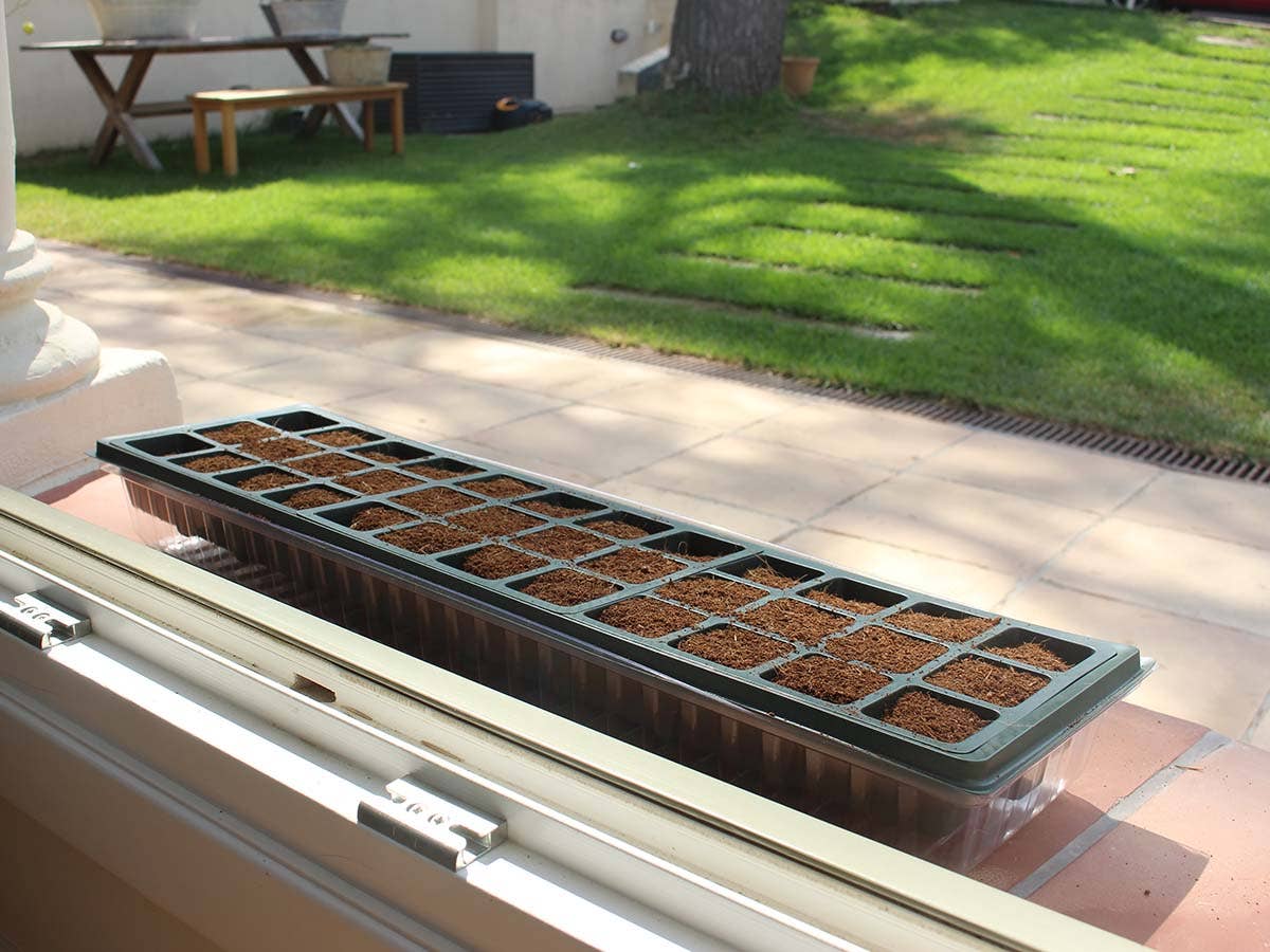 Zaaitray vensterbank 36 cellen met deksel - Tuinkabouter Chrisje