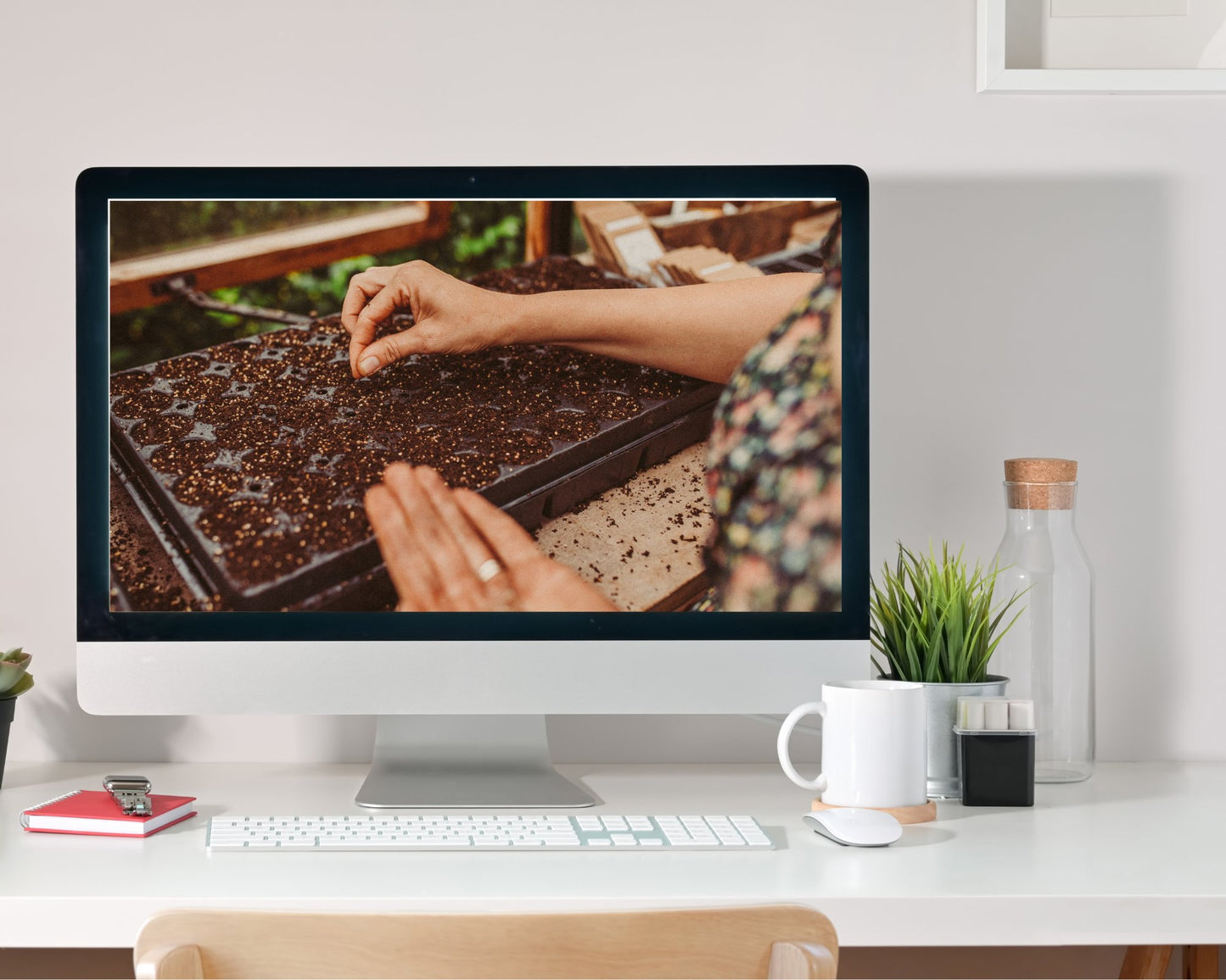 Digitale Workshop " Bloemen Zaaien voor je pluktuin " - Voorjaarseditie 2024 - Tuinkabouter Chrisje