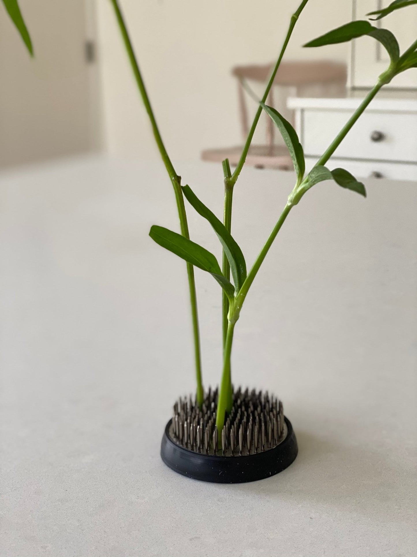 Kenzan - grenouille fleurie - pique fleur - grand