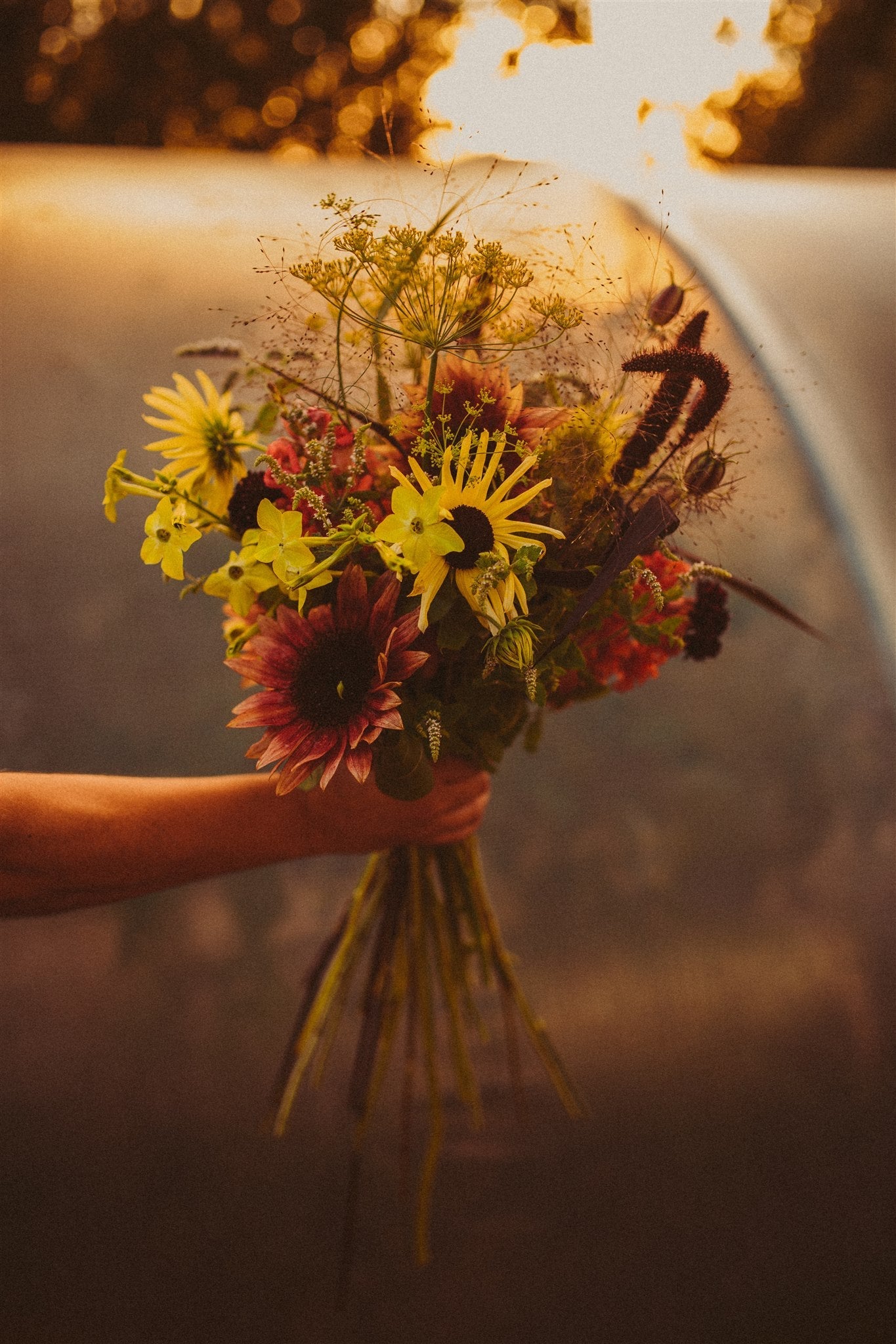 Atelier de semis de fleurs : créez votre propre jardin de fleurs coupées