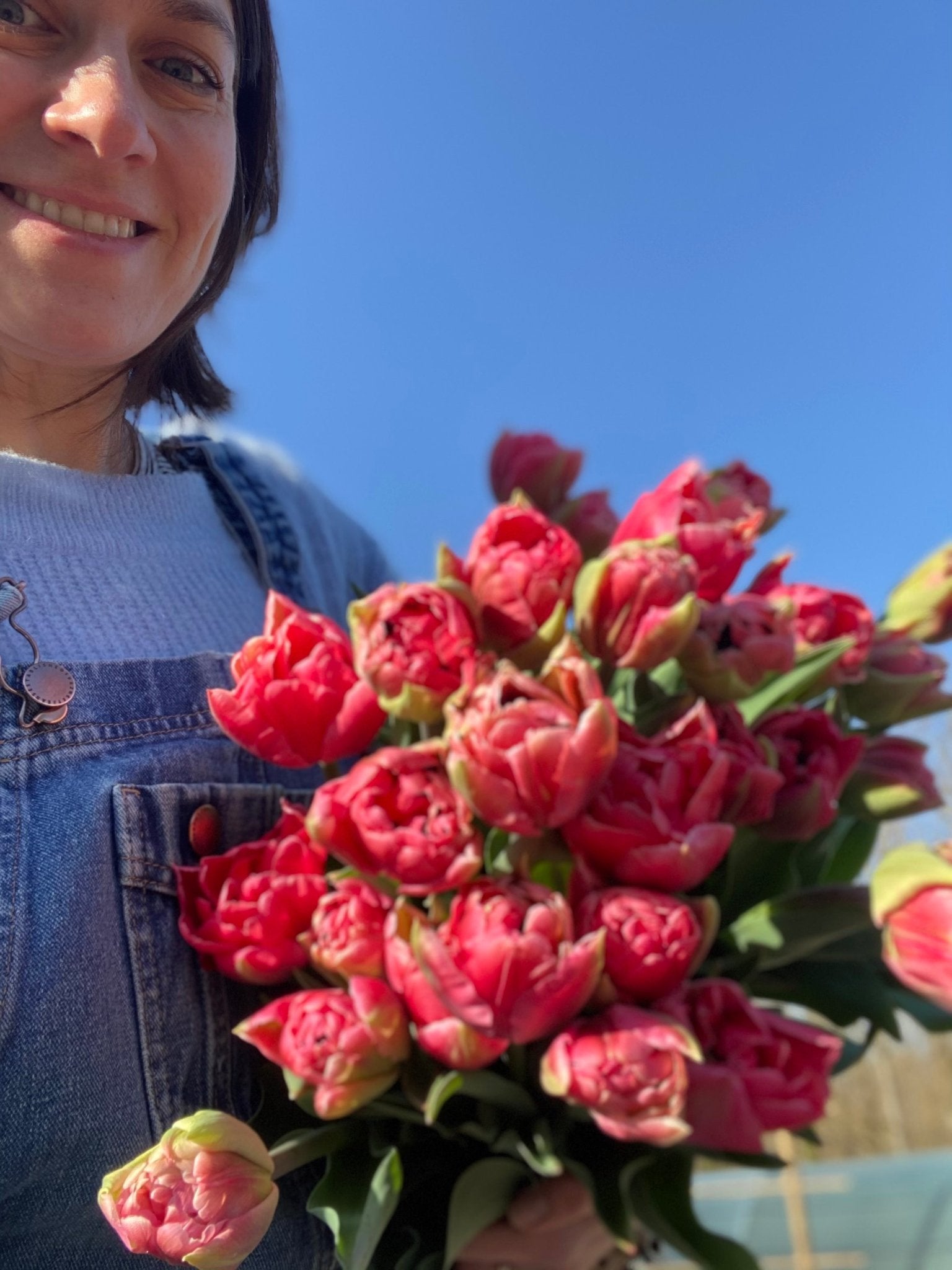Verse vollegrond tulpen uit Lennik - Tuinkabouter Chrisje