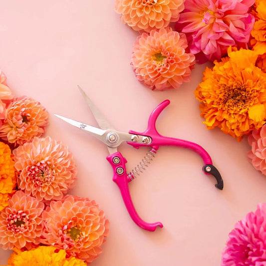 De juiste bloemschaar maakt het verschil - Tuinkabouter Chrisje