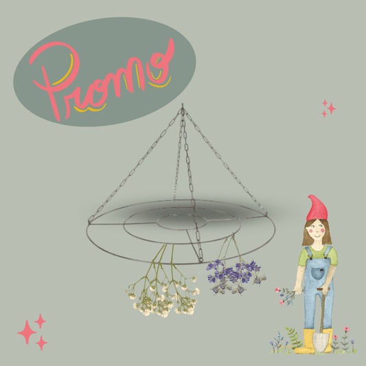 Grote Bloemendroger/ Linthanger - Tuinkabouter Chrisje