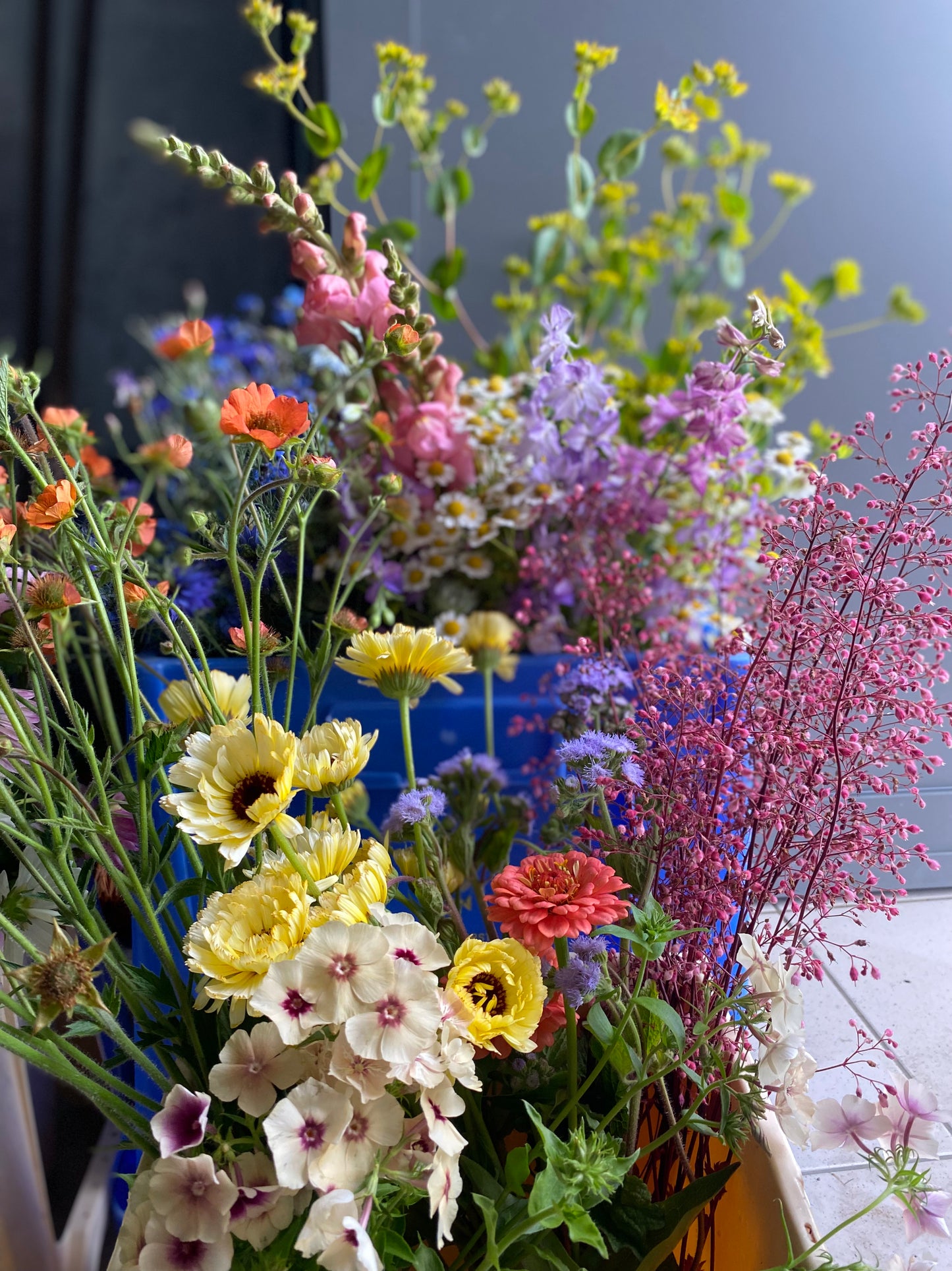 Feestemmer bloemen DIY - terug beschikbaar nieuw seizoen 2025