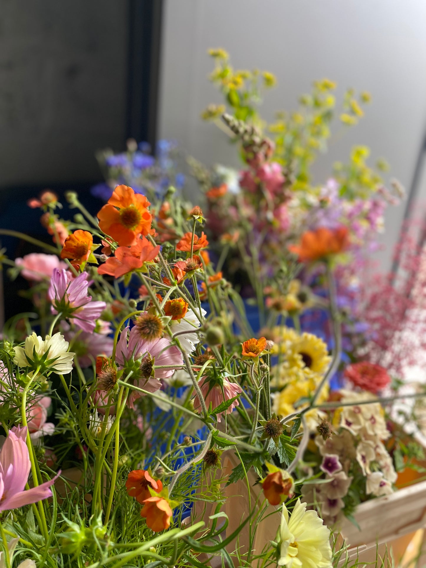 Feestemmer bloemen DIY - terug beschikbaar nieuw seizoen 2025