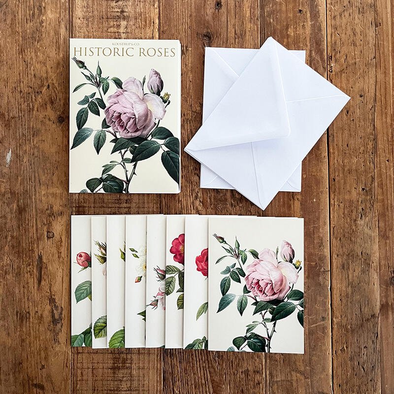 Wenskaarten "Historic Roses" - Set van 8 kaarten met enveloppe - Tuinkabouter Chrisje