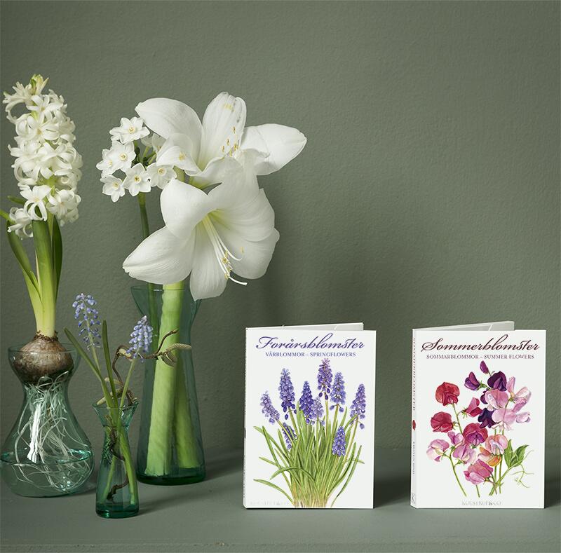 Wenskaarten "Zomerbloemen" - Set van 8 kaarten met enveloppe - Tuinkabouter Chrisje