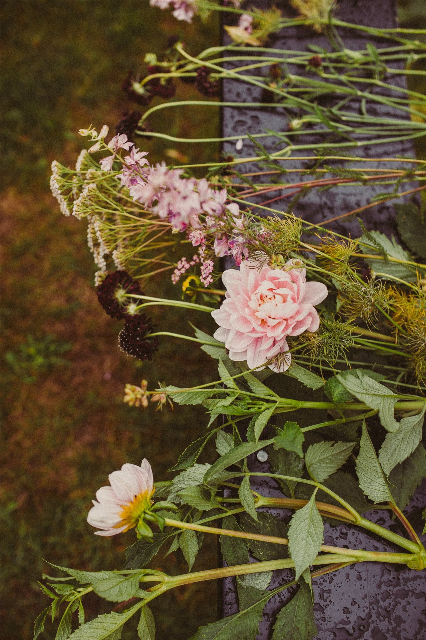 Atelier : "Récolter un bouquet et apprendre à le disposer"