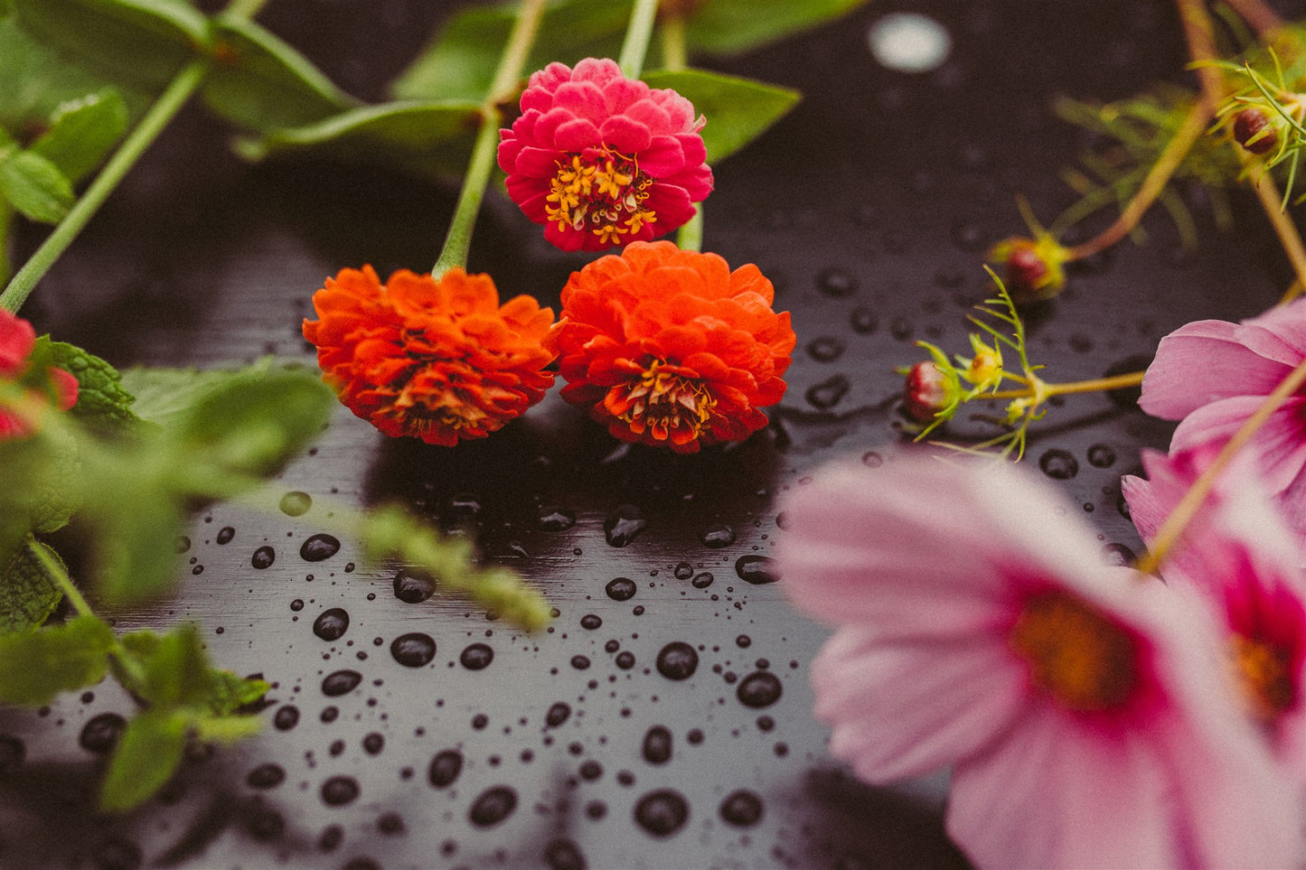 Atelier : "Récolter un bouquet et apprendre à le disposer"