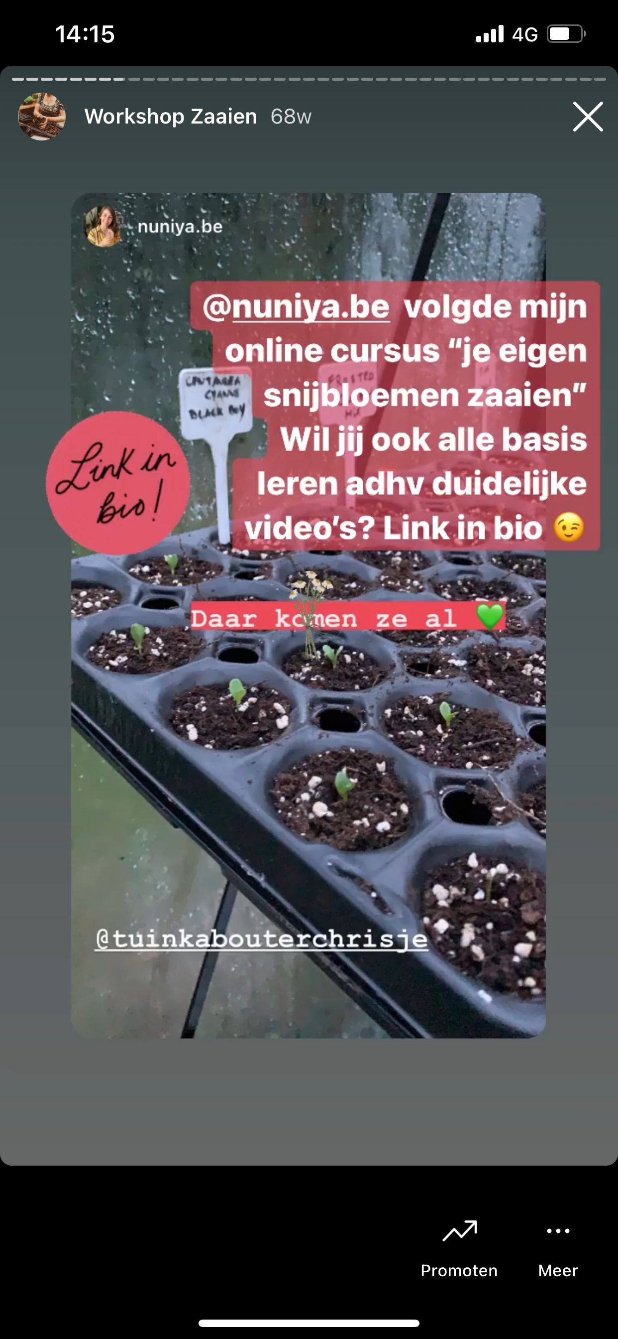 * Tijdelijke Aanbieding - Instapprijs * Digitale Workshop " Bloemen Zaaien voor je pluktuin "