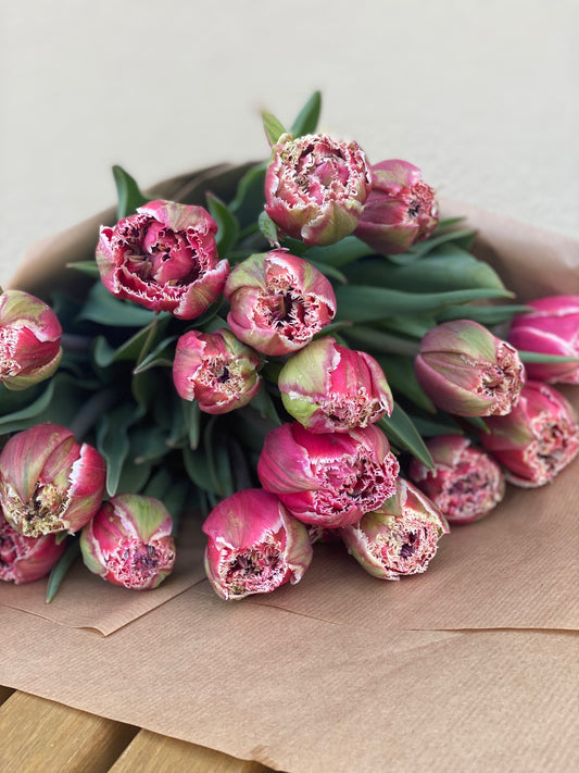 Strauß Tulpen