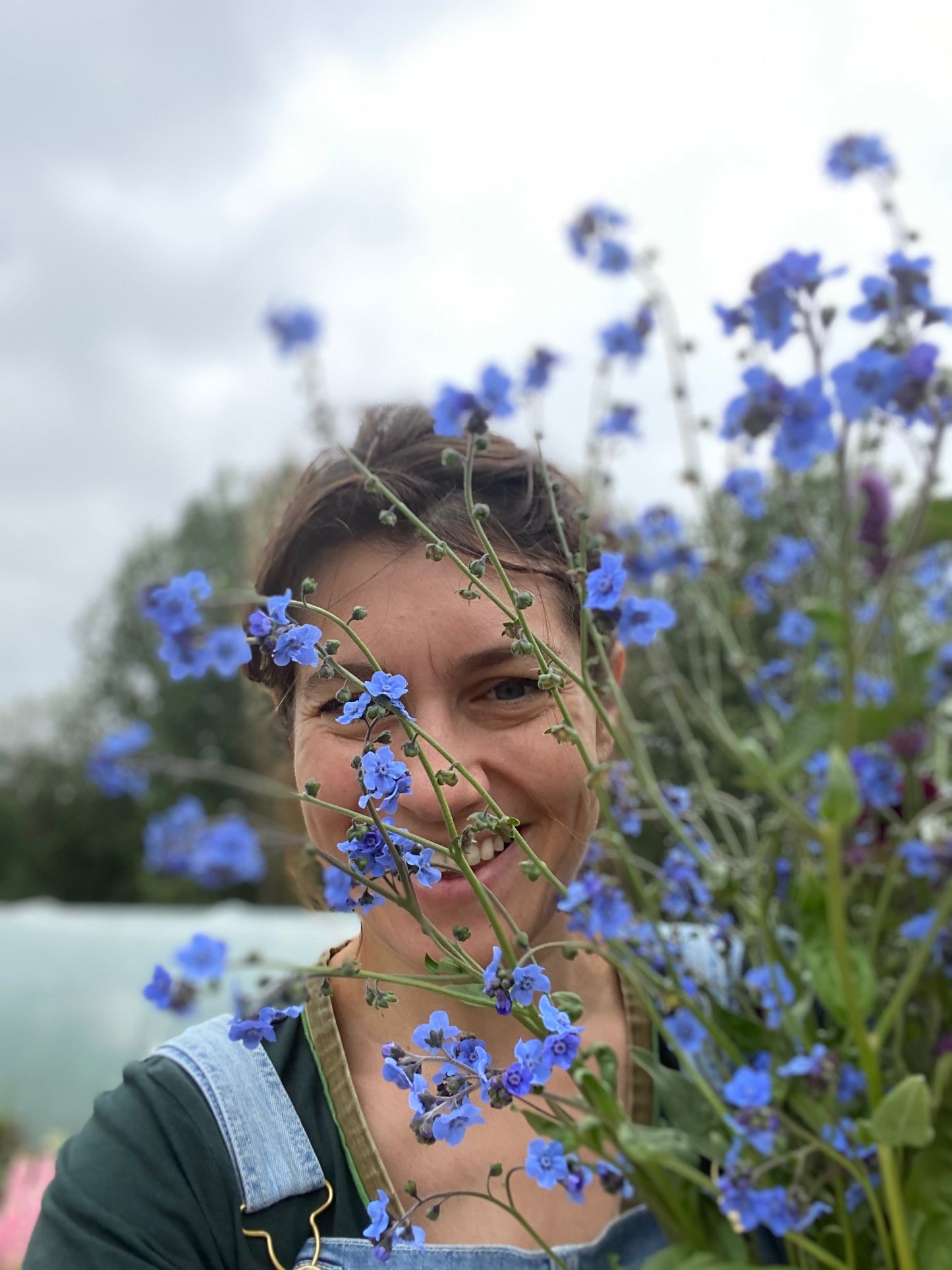 Chinese vergeet-me-nietjes blauw (blue showers)