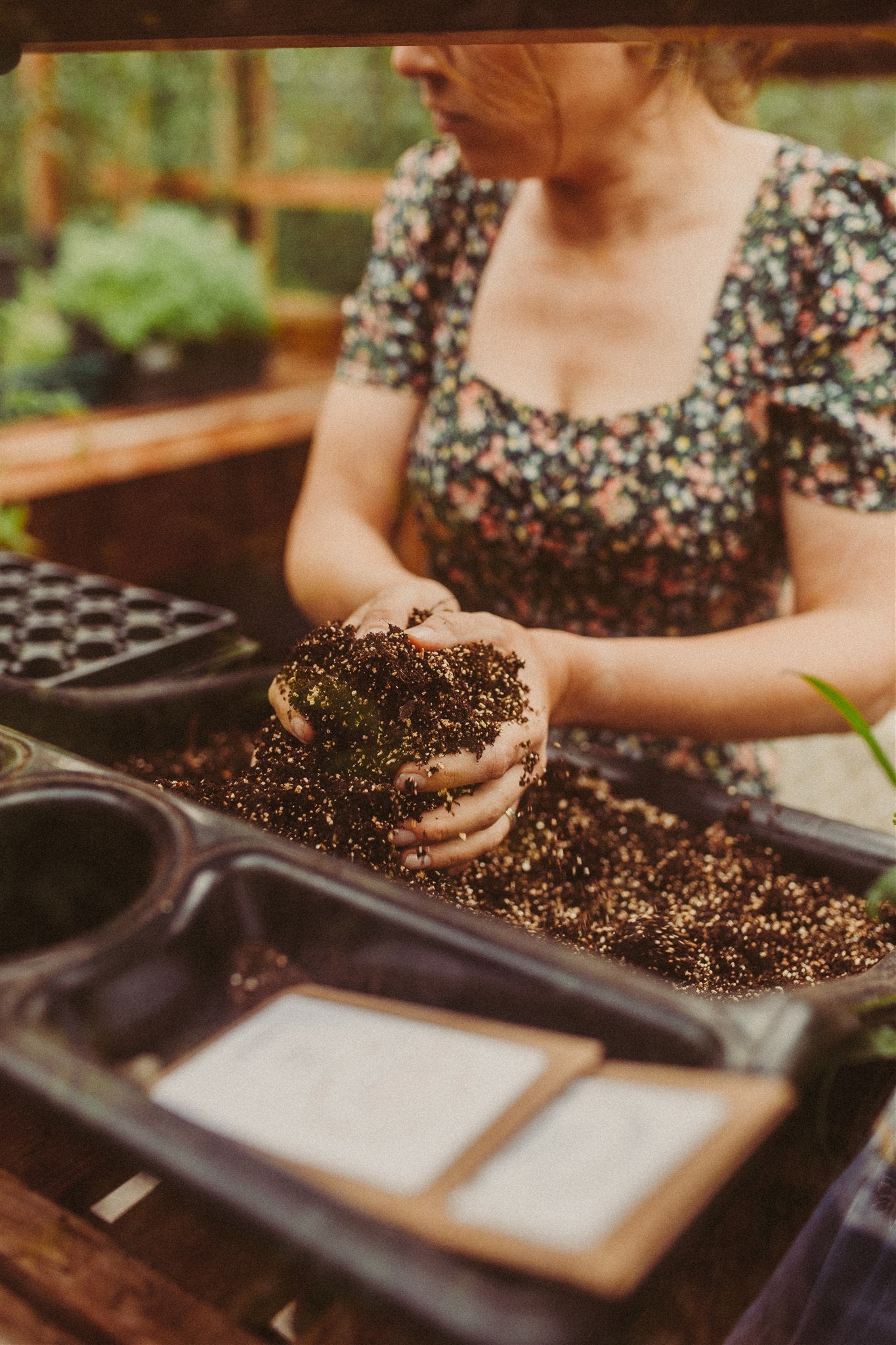 Live Workshop " Je eigen pluktuin zaaien "