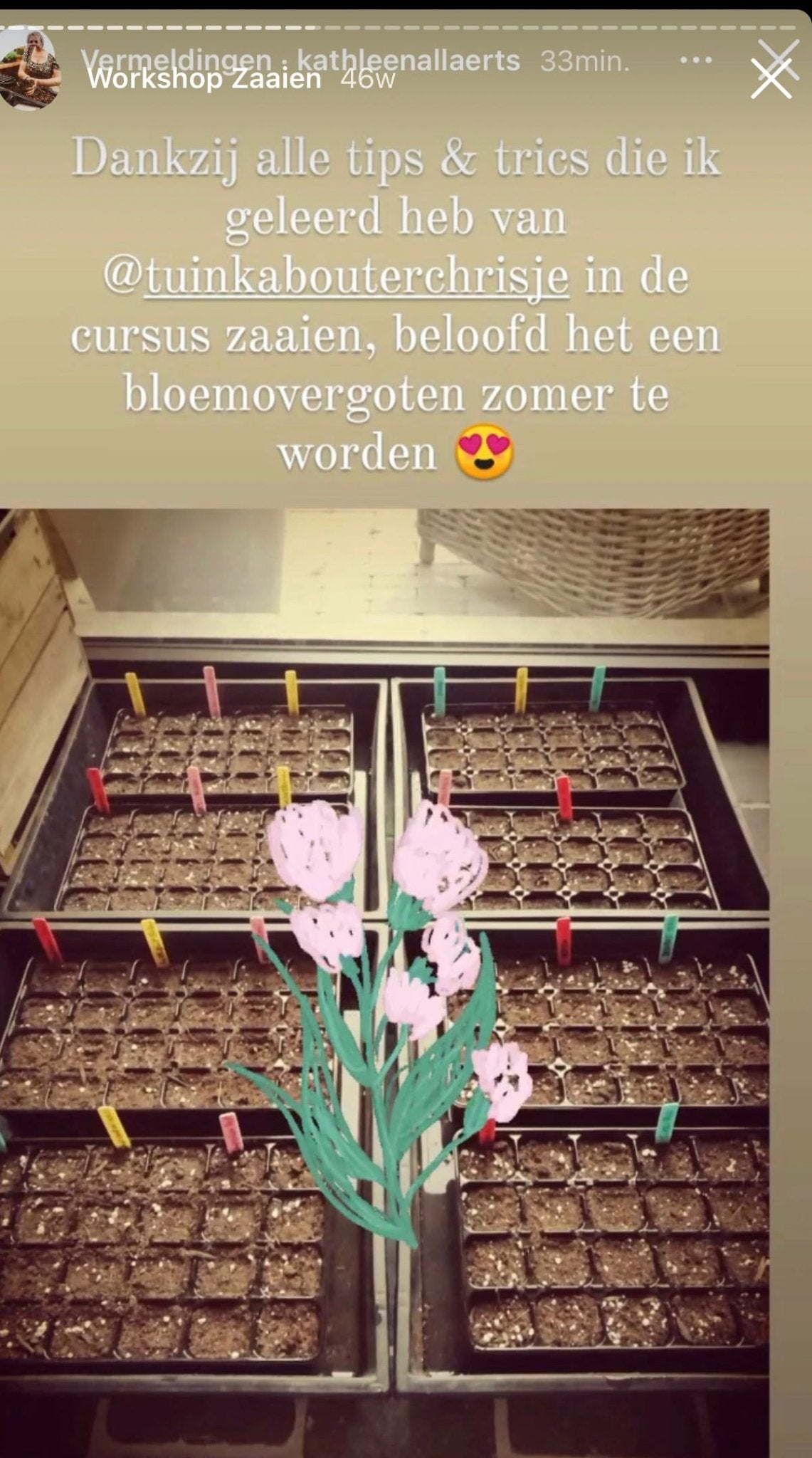 * Tijdelijke Aanbieding - Instapprijs * Digitale Workshop " Bloemen Zaaien voor je pluktuin "